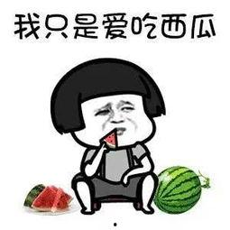 娱乐吃瓜一小时,一小时内吃尽瓜果盛宴